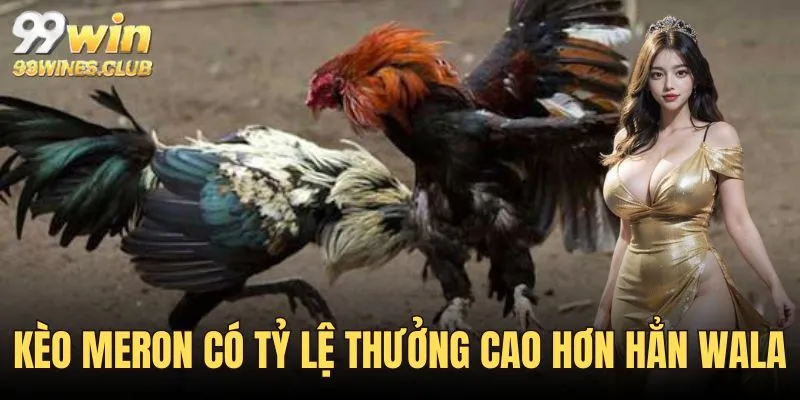 Các dang cược đá gà cơ bản