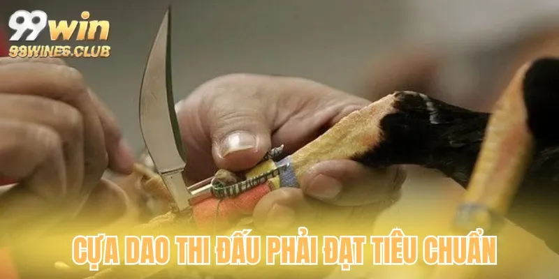 Quy định về cựa dao