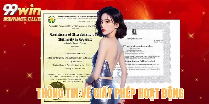 Sơ lược thông tin giấy phép hoạt động